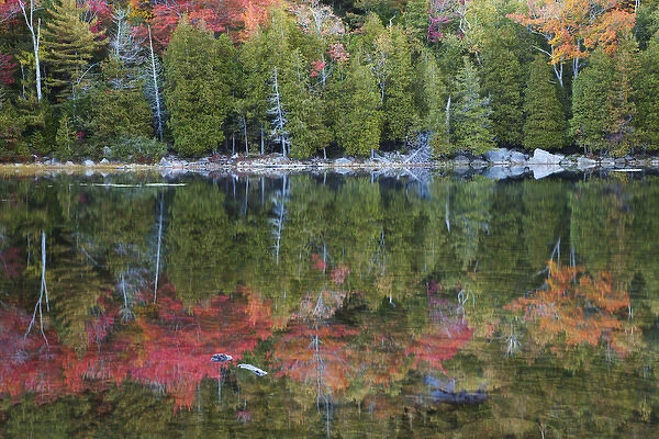 USA; North America, Maine; Acadia National Park; Fall reflections at Bubble Pond
