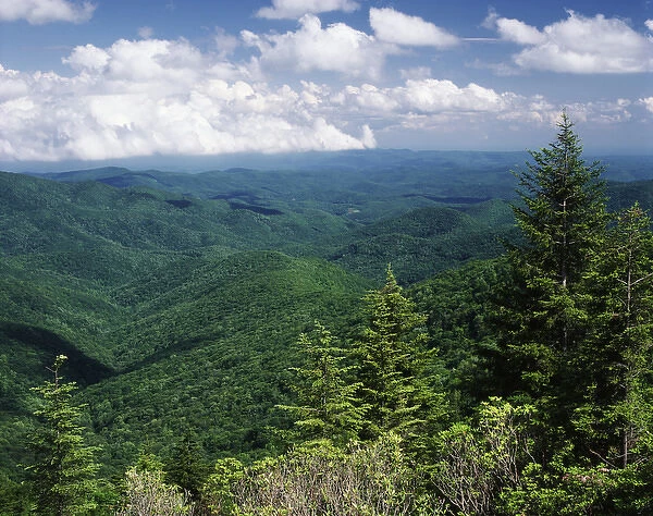 USA, North Carolina, View of Pisgah National Forest