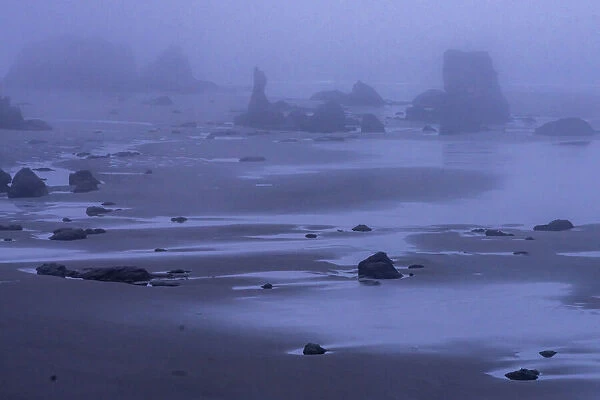 USA, Oregon, Bandon Beach. Foggy sunrise on beach and sea stacks