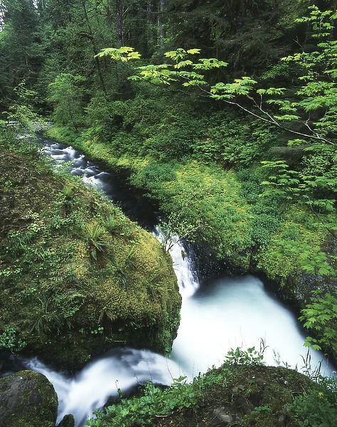 USA, Oregon, Eagle Creek, View of waterfall at Columbia River Gorge National Scenic Area