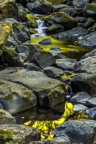 USA, Oregon, Florence. Waterfall in stream