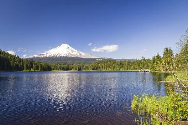 USA, Oregon, Hood River County. Mt. Hood reflected in Trillium Lake in the Mt