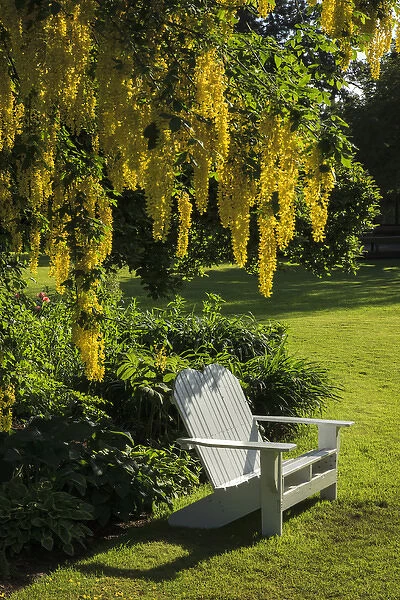 USA, Oregon, Keizer, Schreiners Iris Gardens, bench in the garden