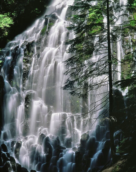 USA, Oregon, Mt Hood Wilderness. Ramona Falls landscape