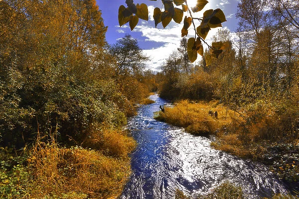 USA, Oregon. Scenic of Dieckman Creek. Credit as: Steve Terrill  /  Jaynes Gallery  /  DanitaDelimont