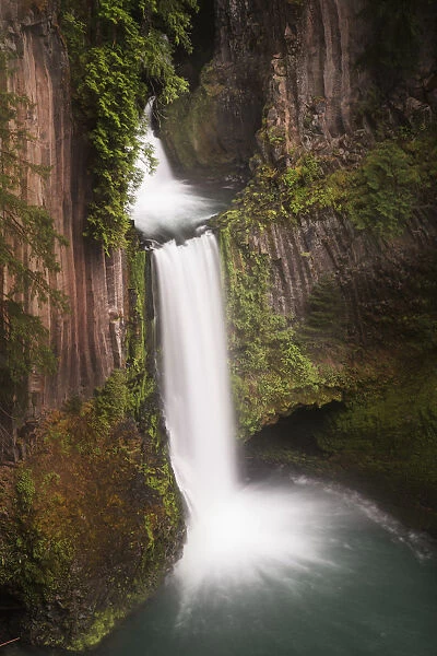 USA, Oregon. Toketee Falls flows over columnar basalt rock cliff