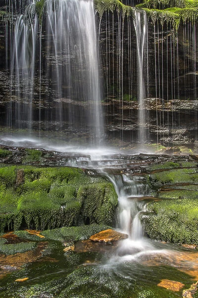 USA, Pennsylvania, Benton. Delicate waterfall in Ricketts Glen State Park. Credit as