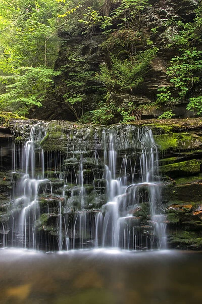 USA, Pennsylvania, Benton. Waterfall in Ricketts Glen State Park