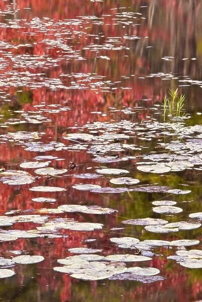 USA, Pennsylvania, Delaware Water Gap National Recreation Area. Autumn reflections