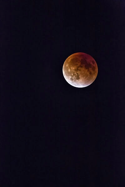 USA, Tippecanoe County, Lafayette, Indiana. Full super moon
