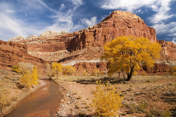 USA, Utah, Capitol Reef. Creek and autumn landscape