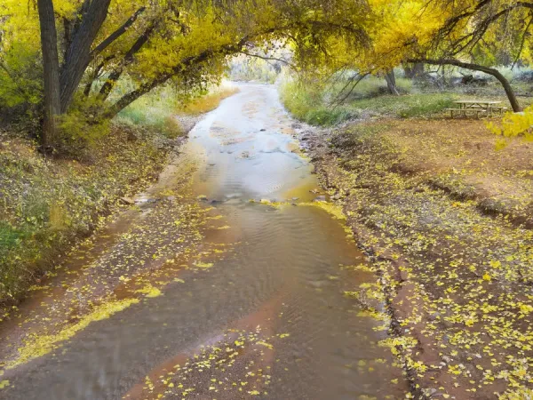 Capitol Reef National Park Sulphur Creek Art Prints