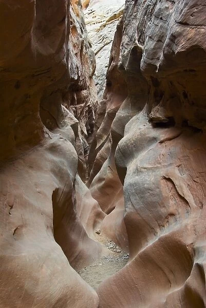 USA, Utah, San Rafael Swell. Sculptured sandstone formations in narrows of Little Wild Horse Canyon