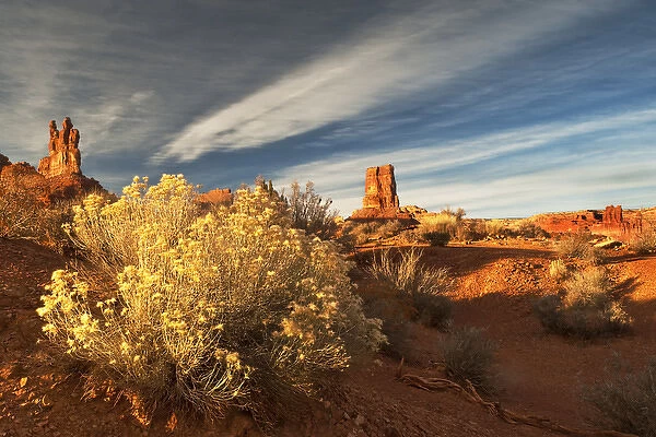 USA, Utah, Valley of The Gods. Eroded pinnacle formations and rabbit bush. Credit as