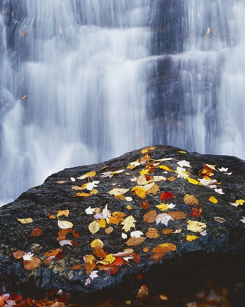 USA, Virginia, George Washington National Forest, Crabtree Falls