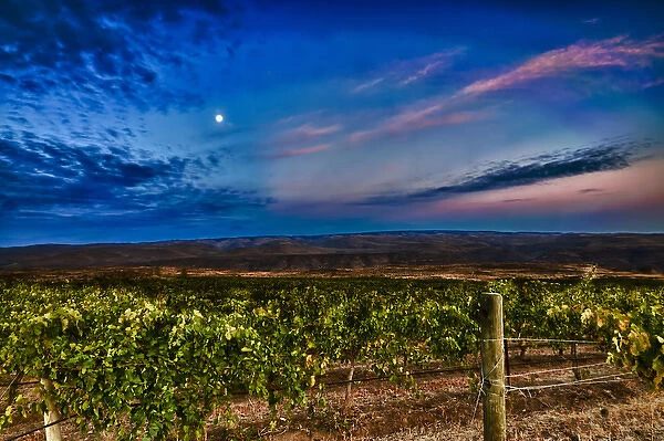 USA, Washington, Columbia Valley. Moon over the Cave B Estate Winery, a boutique