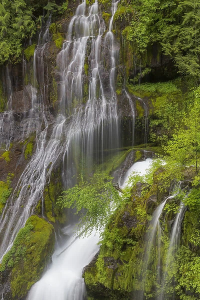 USA, Washington, Gifford Pinchot National Forest. Spring scenic of Panther Creek Waterfall