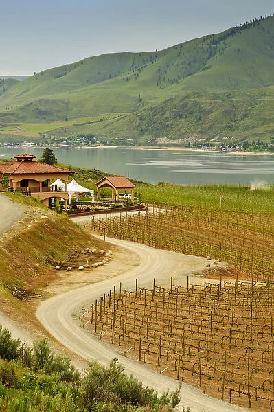 USA, Washington, Lake Chelan. Benson Vineyards Estate Winery is the only 100% estate