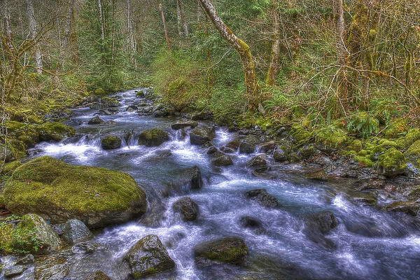 USA, Washington, Rocky Brook Falls. Scenic of stream cascading over rocks. Credit as