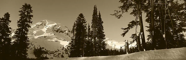 USA, Washington State, Cascade Range, Mount Rainier National Park, View of Mount
