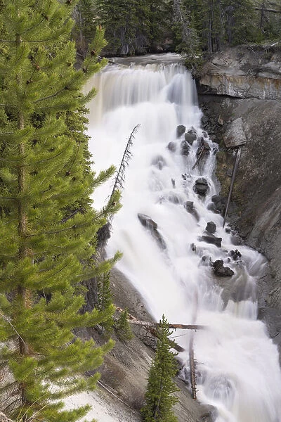 USA, Wyoming, Shoshone National Forest. Brooks Lake Creek Falls landscape