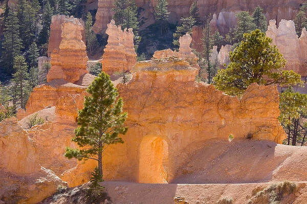 UT, Bryce Canyon National Park, Tunnel on the Peekaboo trail