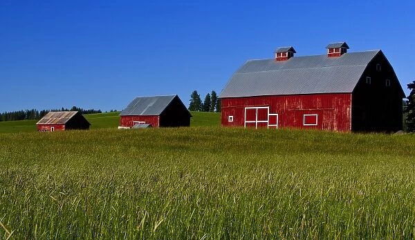 A view of three barns in Idaho