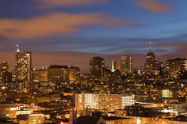 View of the city skyline from Coit Hill in San Francisco, California, USA