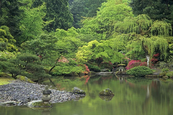WA, Seattle, Reflecting pool scene, Japanese Garden