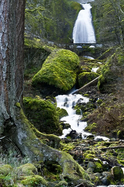 Wahkeena Falls and Creek; Columbia Gorge; Oregon; USA