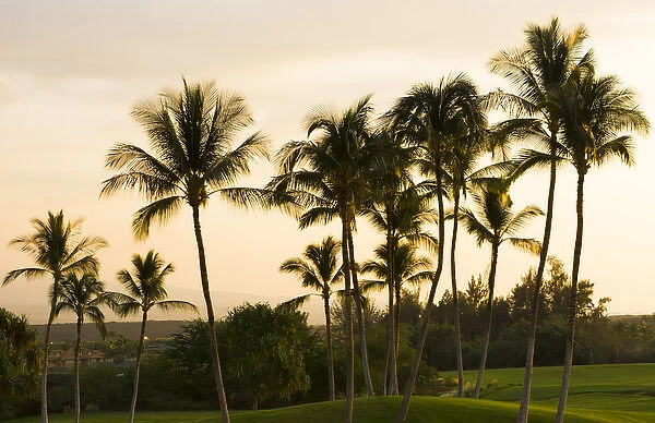 Waikoloa Hawaii Big Island golf course at exclusive Kings Golf Course at Waikoloa