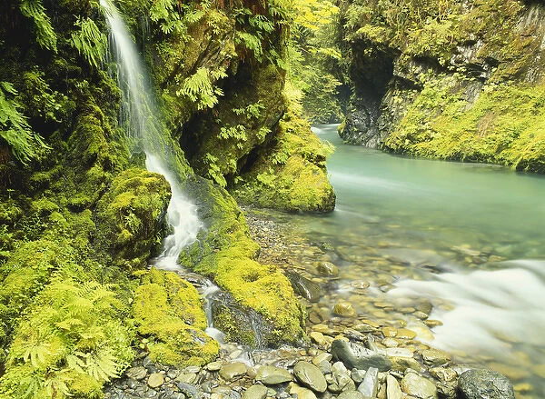 Washington, Olympic National Park, Waterfall near Graves Creek