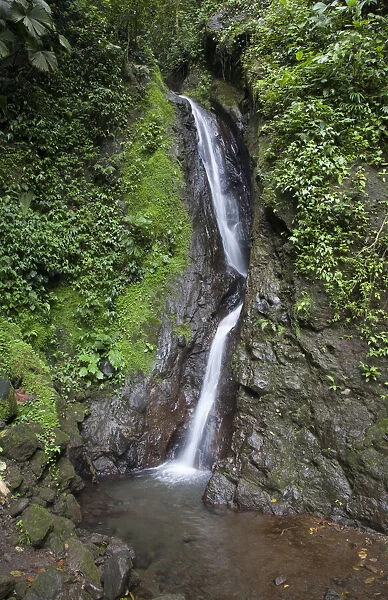 Waterfall in Mistico Hanging Bridges Park, Costa Rica