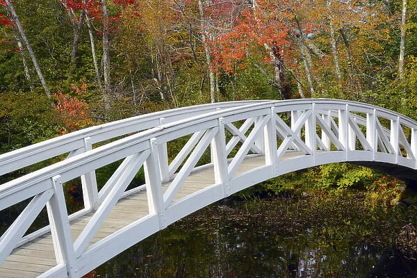 White Footbridge, Autumn, Somesville, Mount Desert Island, Maine, USA