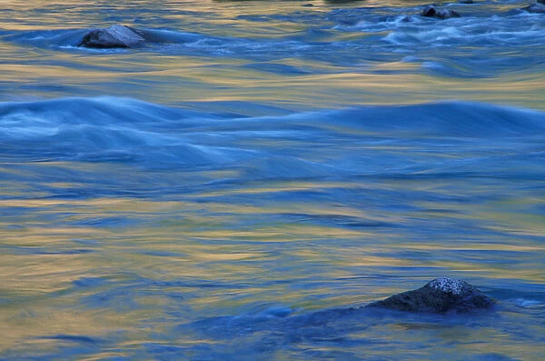 Wild Rogue Wilderness, OR Rogue River. Abstracts. Siskiyou National Forest. June