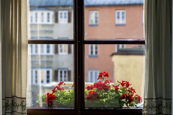 Window with flower box Old Town, Innsbruck, Tyrol, Austria