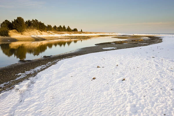 Winter on Cape Cod Bay at the Shifting Lots Preserve in Plymouth, Massachusetts
