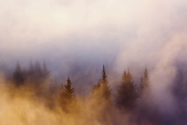 Winter sunset and mist, Homer, Alaska