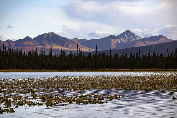 Wrangell Mountains, Alaska, USA