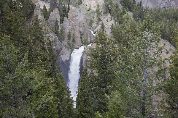 WY, Yellowstone National Park, Tower Fall, Tower Creek tumbles 132 feet