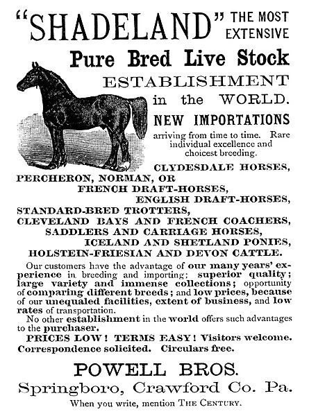 AD: HORSES, 1887. American magazine advertisement for horses from Powell Brothers in Pennsylvania