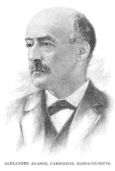 ALEXANDER AGASSIZ (1835-1910). American zoolgist. Engraving, 1890