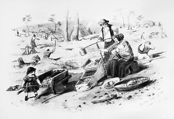 AUSTRALIA: GOLD RUSH, 1852. Zealous Gold Diggers. A family washing gold at Bendigo