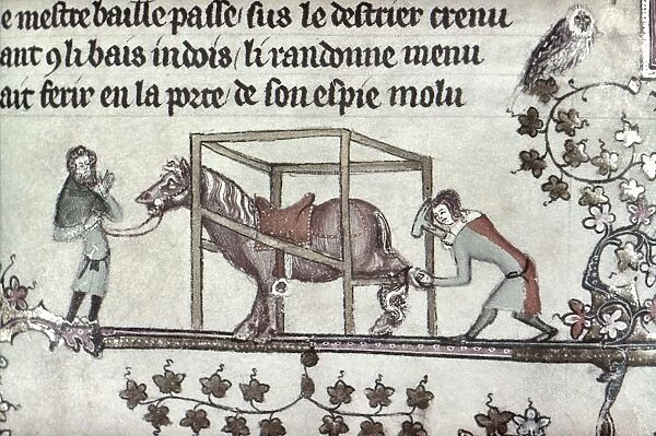 BLACKSMITHS, 14th CENTURY. Blacksmiths shoeing a horse