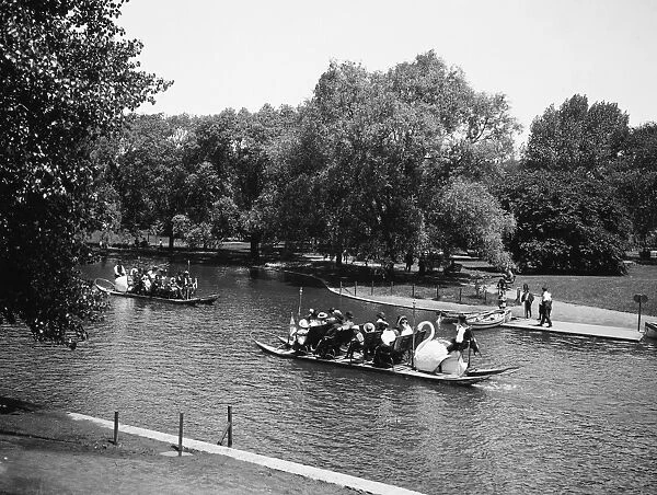 BOSTON PARK, c1900. The swan boats in the Public gardens in Boston, Massachusetts