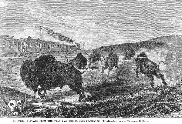 BUFFALO SHOOTING, 1867. Shooting buffalo from the trains of the Kansas Pacific Railroad. Wood engraving from a sketch by Theodore R. Davis, 1867