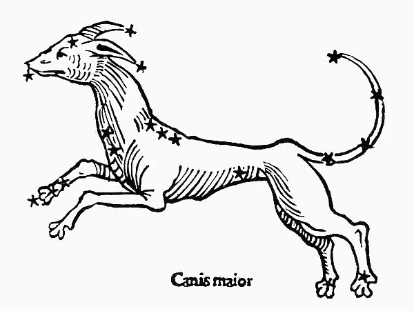 CANIS MAJOR, 1482. Figuration of Canis Major