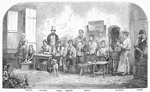 CHAMPAGNE PRODUCTION, 1855. The disgorging, corking and wrapping of bottles of champage at Pierry, France. Wood engraving, English, 1855