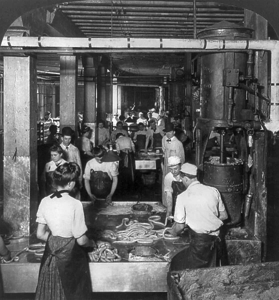 CHICAGO: MEATPACKING. Factory workers stuffing link sausages with machines at the Swift