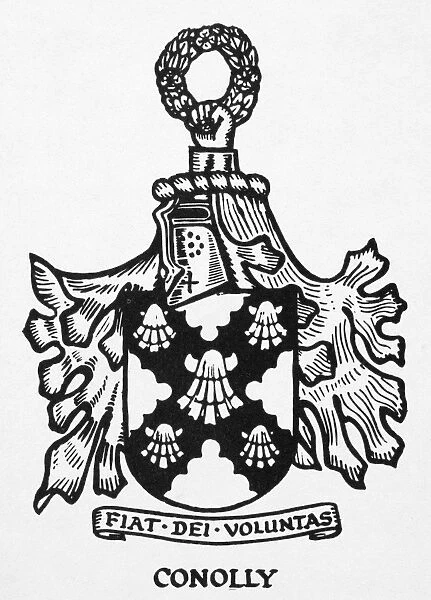 COAT OF ARMS. Conolly coat of arms (Irish)